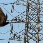 Мицкоски: Барам брзи предвремени избори, ново парламентарно мнозинство не е решение